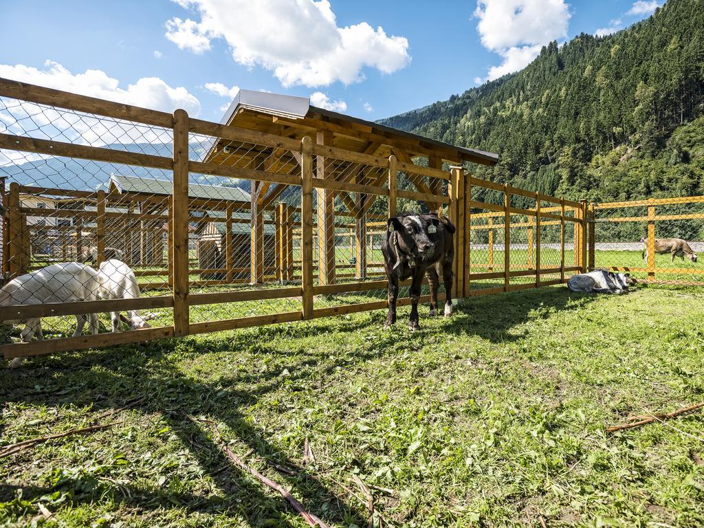Apartment Sonnenau Zell am Ziller Eksteriør bilde