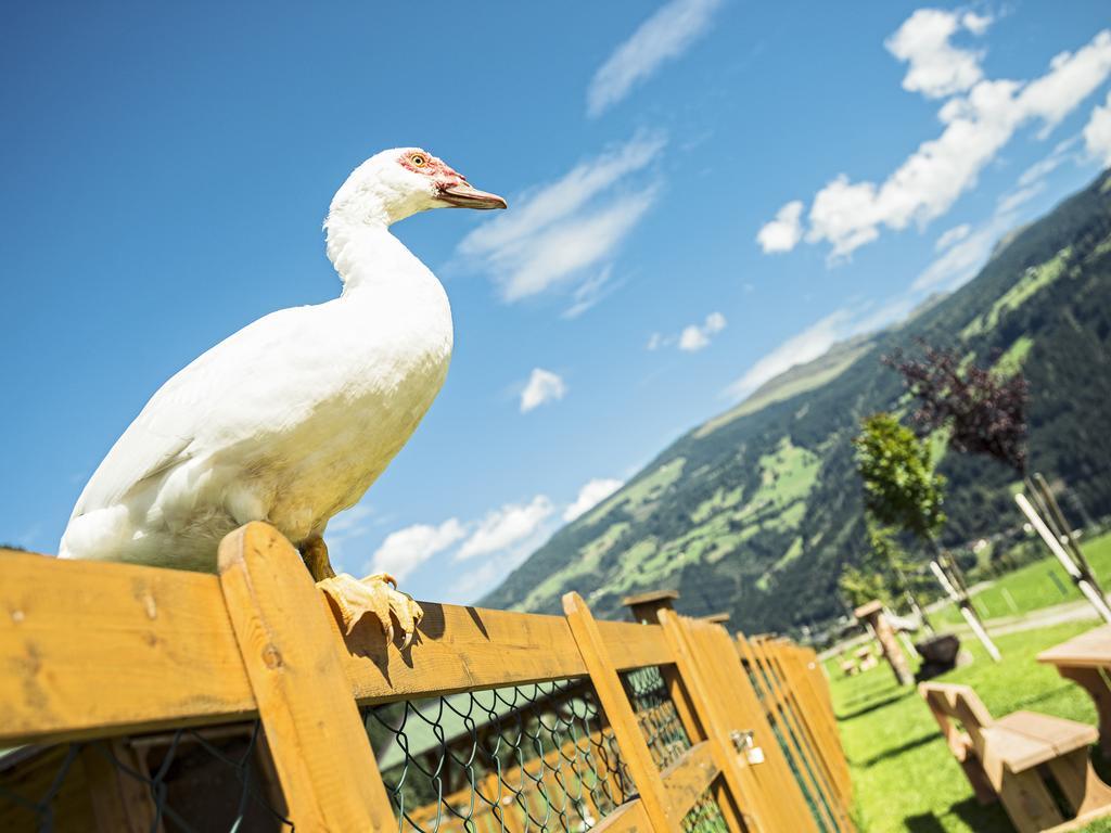 Apartment Sonnenau Zell am Ziller Eksteriør bilde